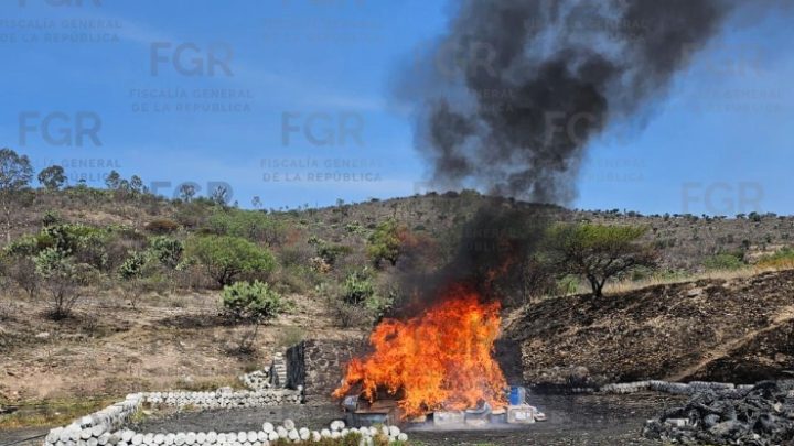 Más de 400 kilos de droga que ya no vuelven: la FGR los reduce a cenizas