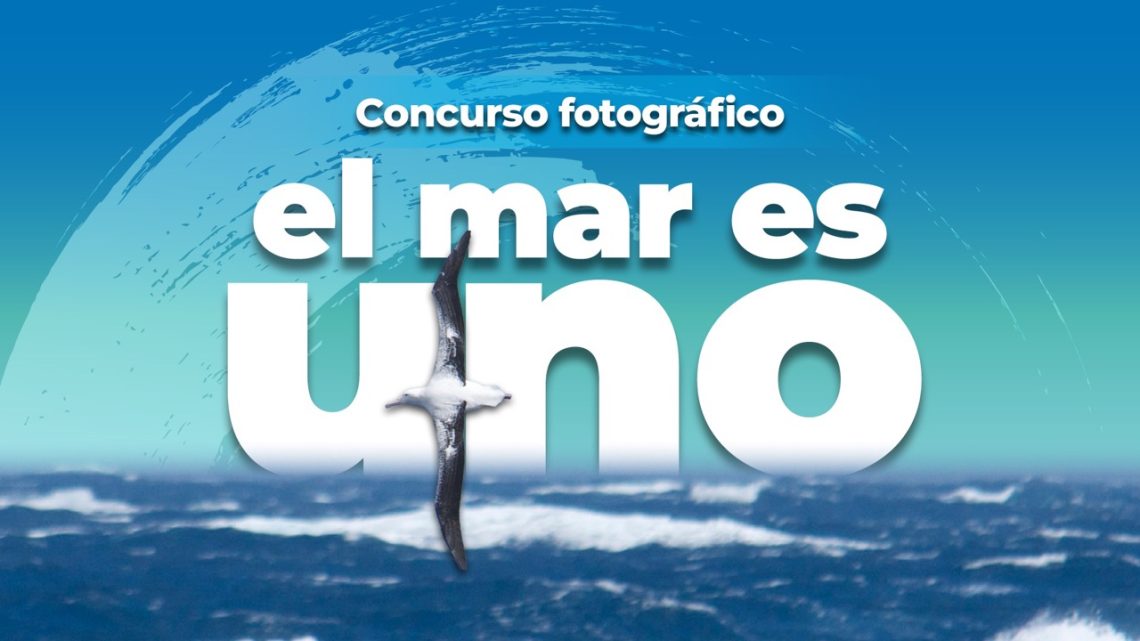 📸 Se armó el rollo con fotos del mar… y ya salieron las ganadoras del concurso “El mar es uno”