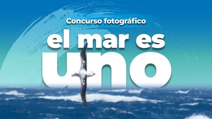 📸 Se armó el rollo con fotos del mar… y ya salieron las ganadoras del concurso “El mar es uno”