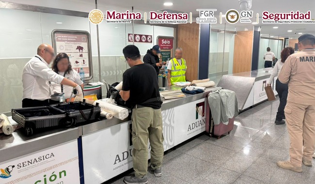🎨✈️ “Arte fino… pero con coca”: cae en el AICM con cuadros bien ‘cargados’