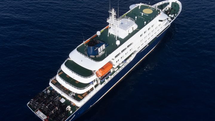 🚢💀✈️ Del hielo al encierro: el crucero del hantavirus que ya brincó al aire
