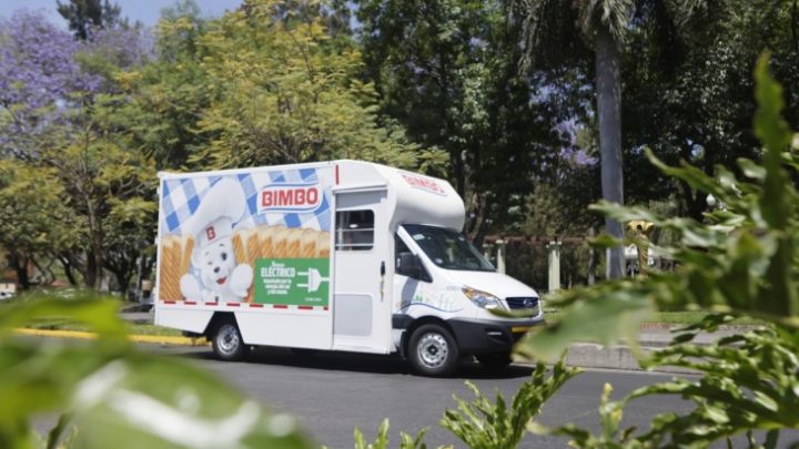 🌱🌎 “El pan también cuida el planeta”: Bimbo presume su ruta verde en México