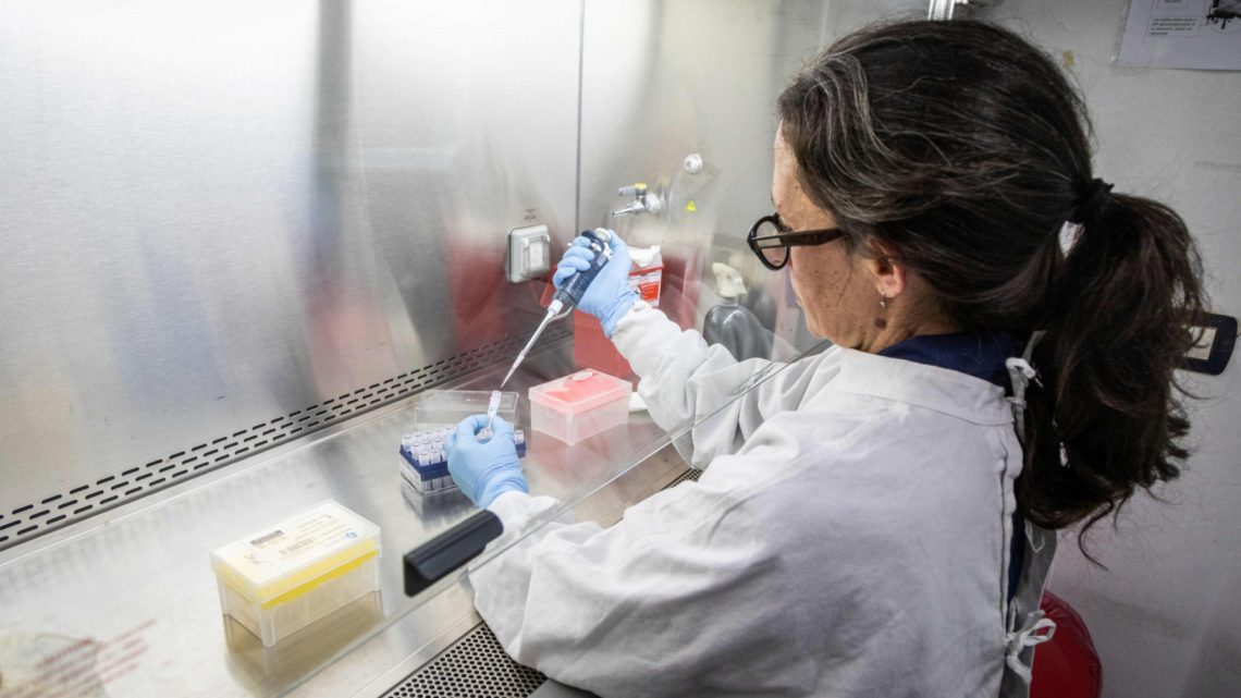 🧪🌍 Argentina manda “refuerzos médicos” a Europa mientras el hantavirus sigue prendiendo alertas en el mundo