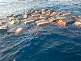cocaína asegurada Golfo de Tehuantepec