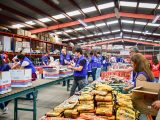 🛒🚨 Walmart y Cruz Roja ya tienen el “plan B” armado: 5 mil despensas listas pa’ cuando truene el desastre