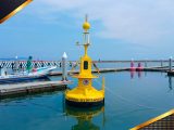🌊👀 Ahí viene el agua… y ahora sí la están vigilando: Marina y científicos le echan ojo al Pacífico