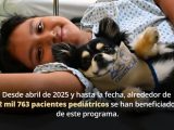 🐶 Jueves de perritos: cuando el hospital se siente menos pesado en el INP