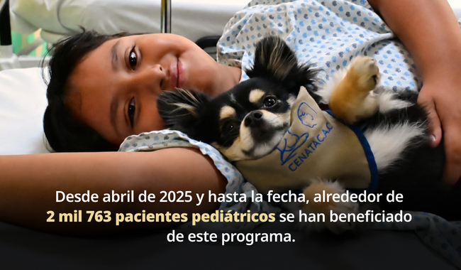 🐶 Jueves de perritos: cuando el hospital se siente menos pesado en el INP