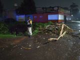lluvias Edomex